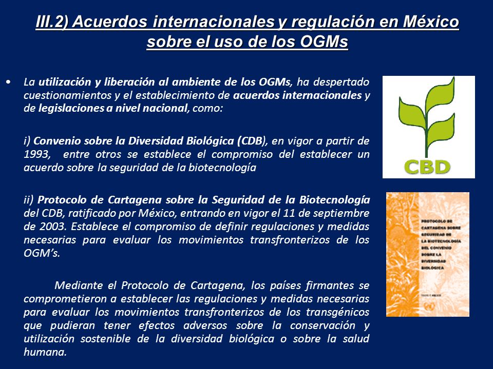 III.2) Acuerdos internacionales y regulación en México sobre el uso de los OGMs