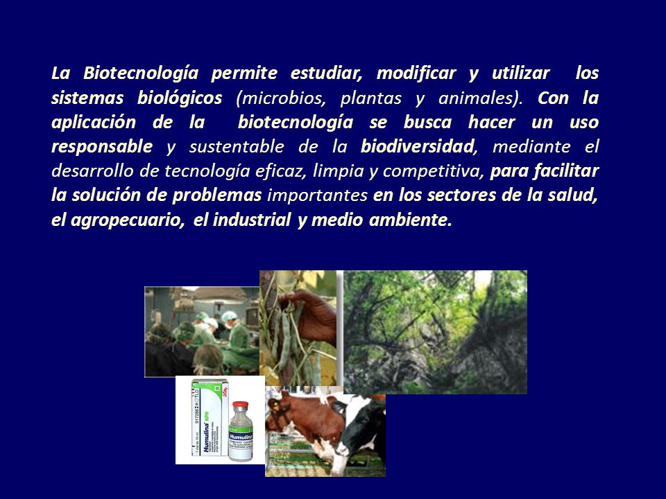 La Biotecnología permite estudiar, modificar y utilizar los sistemas biológicos (microbios, plantas y animales).