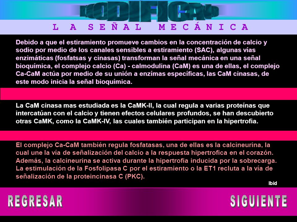 REGRESAR SIGUIENTE L A S E Ñ A L M E C Á N I C A