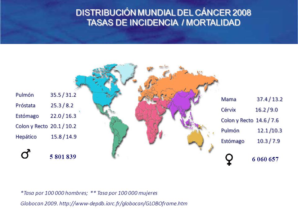 DISTRIBUCIÓN MUNDIAL DEL CÁNCER 2008 TASAS DE INCIDENCIA / MORTALIDAD
