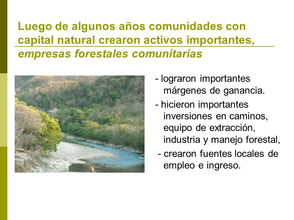 Luego de algunos años comunidades con capital natural crearon activos importantes, empresas forestales comunitarias