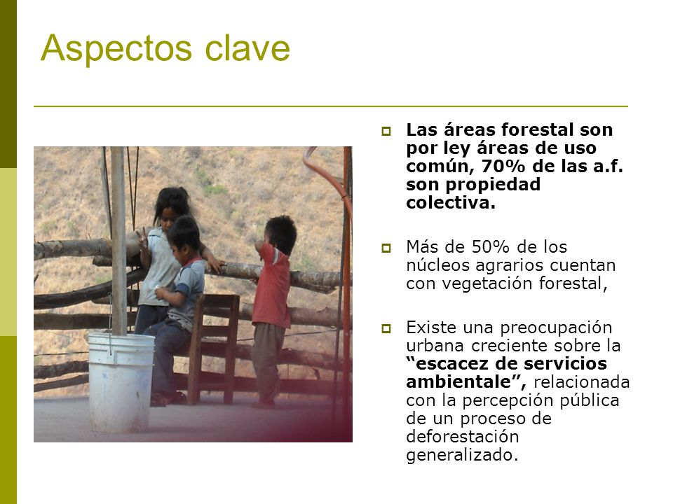 Aspectos clave Las áreas forestal son por ley áreas de uso común, 70% de las a.f. son propiedad colectiva.