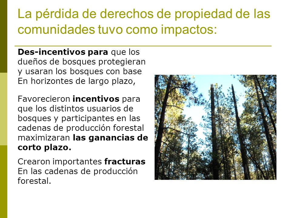 La pérdida de derechos de propiedad de las comunidades tuvo como impactos: