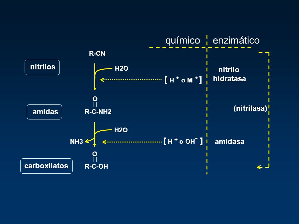 químico enzimático [ H + o M + ] [ H + o OH- ] nitrilos nitrilo