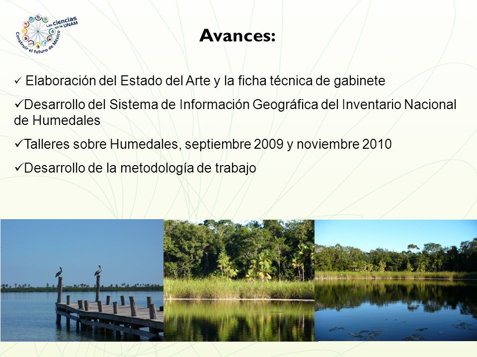 Avances: Elaboración del Estado del Arte y la ficha técnica de gabinete.