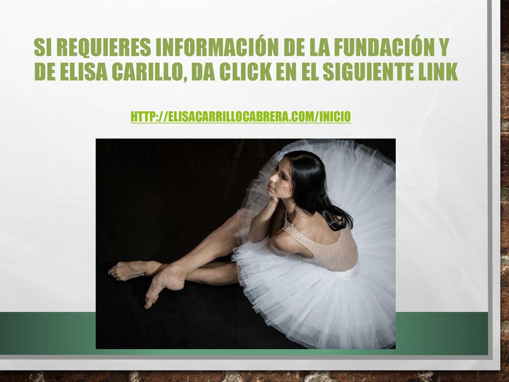 Si requieres información de la fundación y de Elisa Carillo, da click en el siguiente link