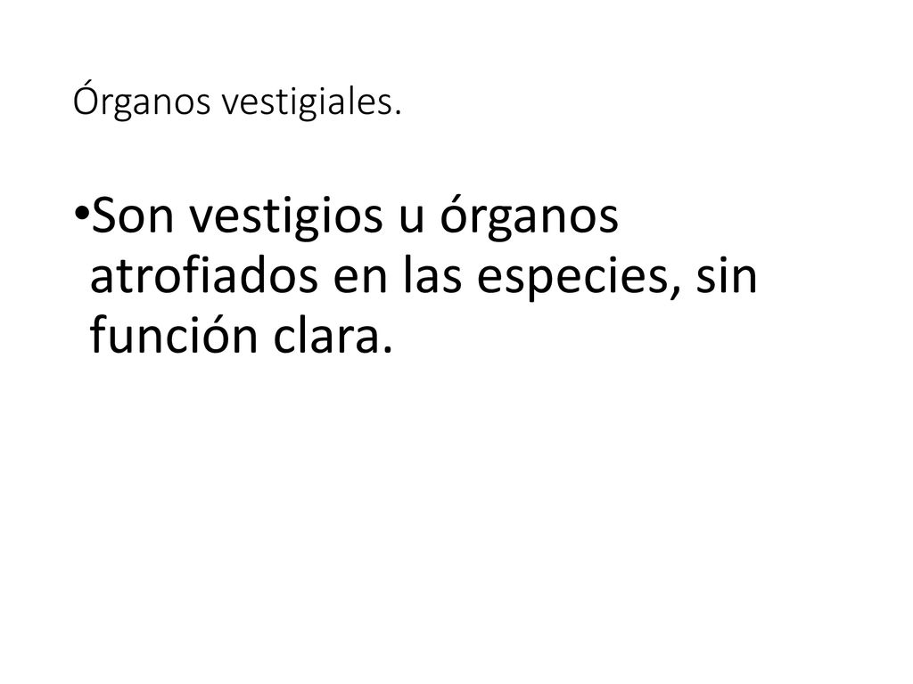 Son vestigios u órganos atrofiados en las especies, sin función clara.