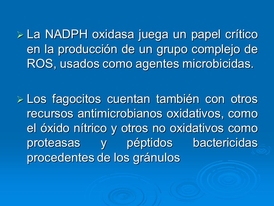 La NADPH oxidasa juega un papel crítico en la producción de un grupo complejo de ROS, usados como agentes microbicidas.