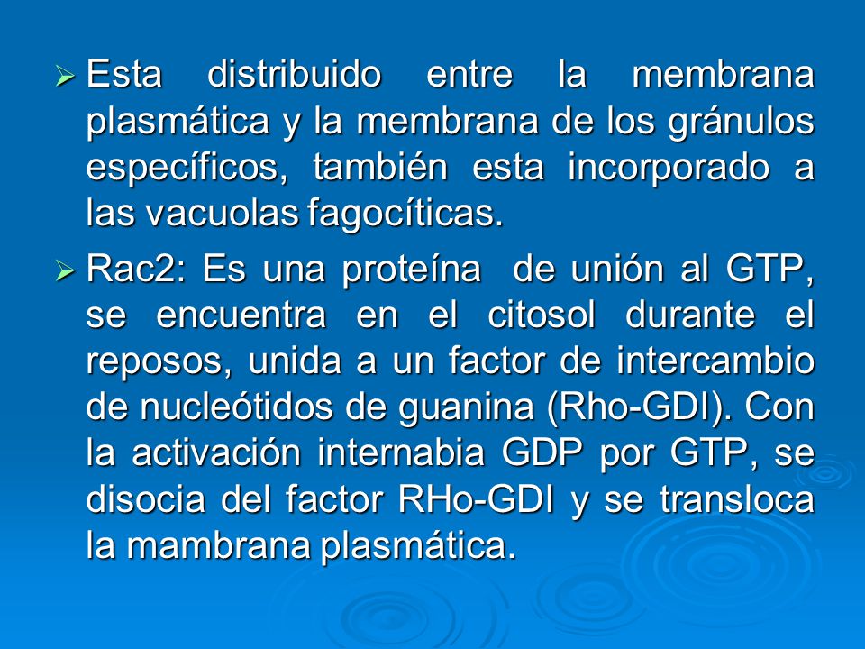 Esta distribuido entre la membrana plasmática y la membrana de los gránulos específicos, también esta incorporado a las vacuolas fagocíticas.