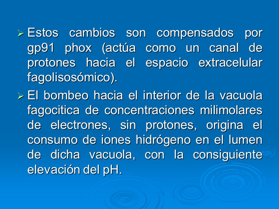 Estos cambios son compensados por gp91 phox (actúa como un canal de protones hacia el espacio extracelular fagolisosómico).