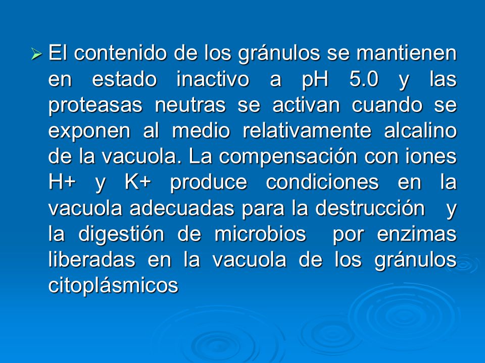 El contenido de los gránulos se mantienen en estado inactivo a pH 5