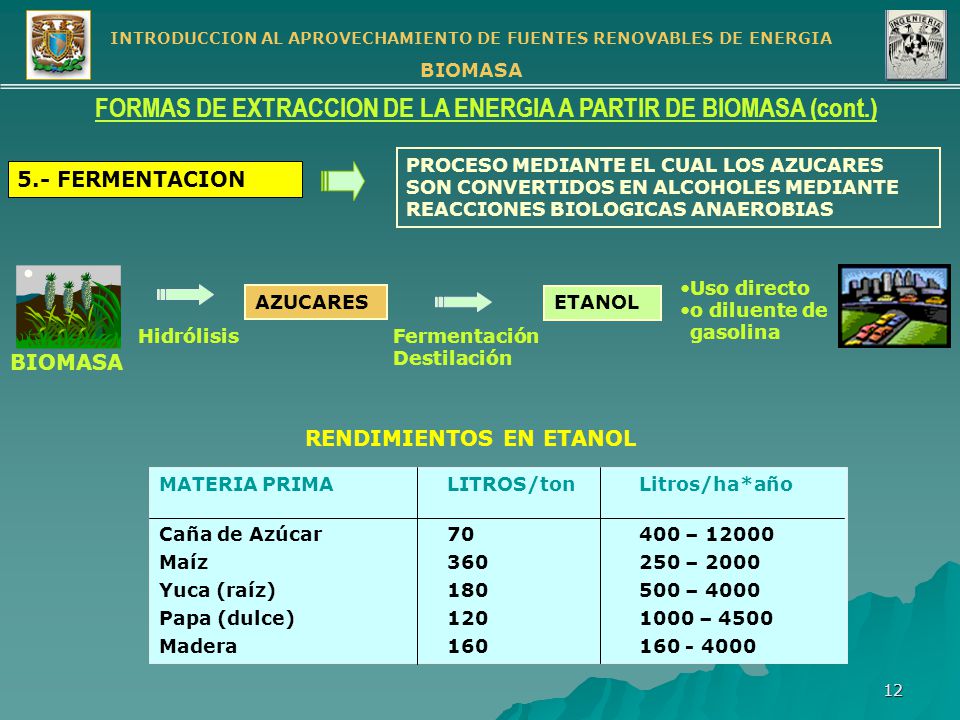 FORMAS DE EXTRACCION DE LA ENERGIA A PARTIR DE BIOMASA (cont.)