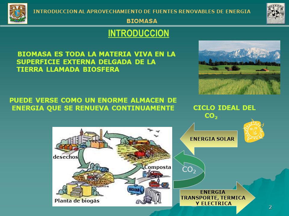 INTRODUCCION BIOMASA ES TODA LA MATERIA VIVA EN LA SUPERFICIE EXTERNA DELGADA DE LA TIERRA LLAMADA BIOSFERA.