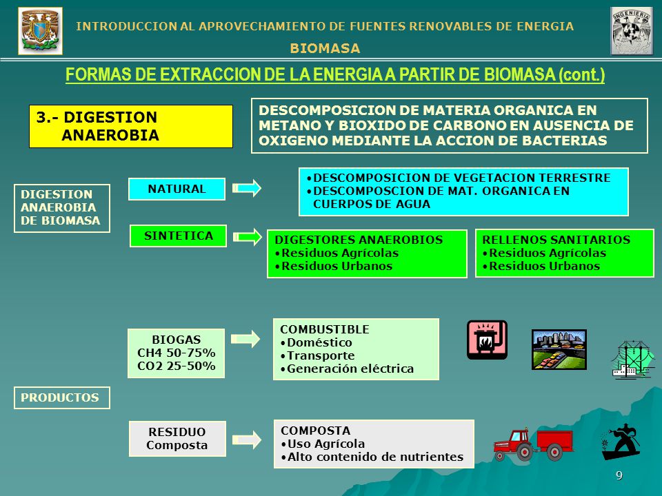 FORMAS DE EXTRACCION DE LA ENERGIA A PARTIR DE BIOMASA (cont.)