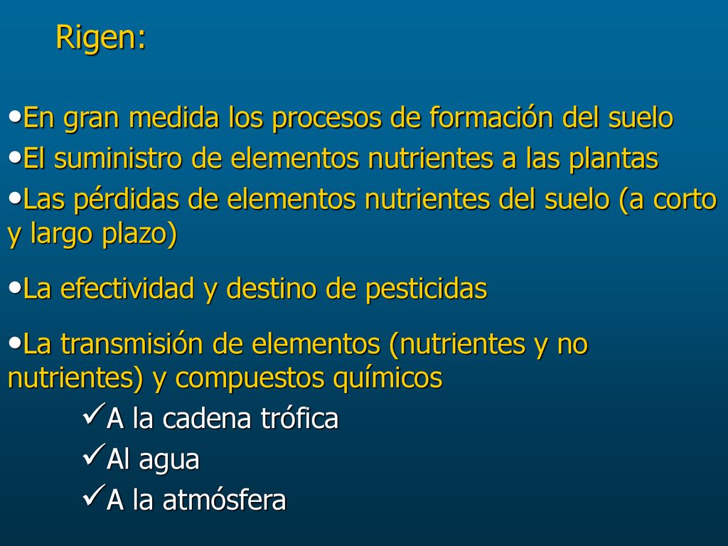 Rigen: En gran medida los procesos de formación del suelo