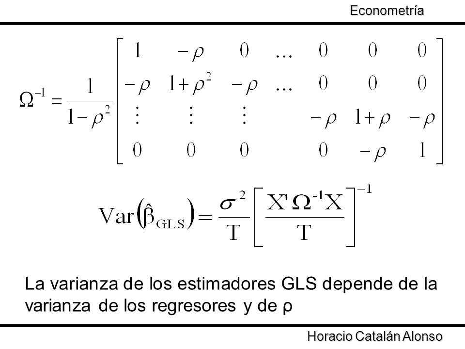 Econometría Taller de Econometría. La varianza de los estimadores GLS depende de la varianza de los regresores y de ρ.