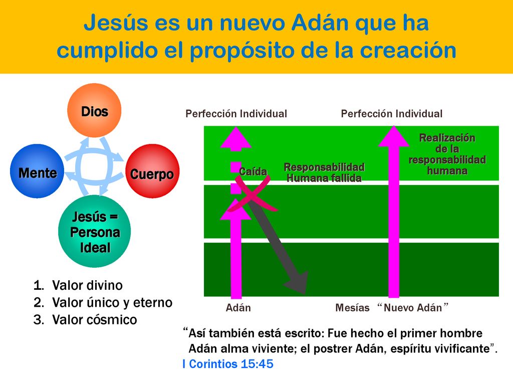 Jesús es un nuevo Adán que ha cumplido el propósito de la creación