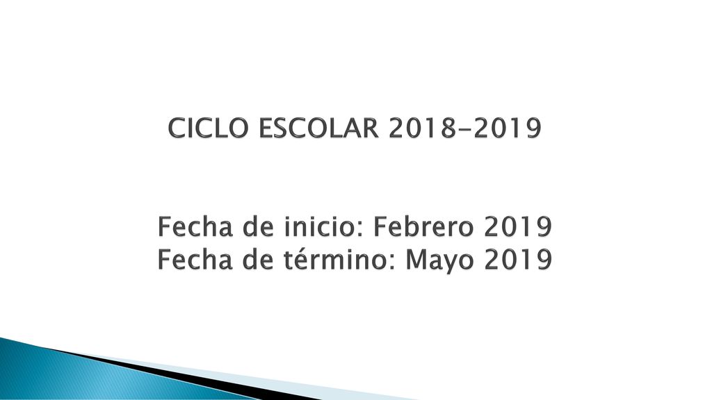 CICLO ESCOLAR Fecha de inicio: Febrero 2019 Fecha de término: Mayo 2019