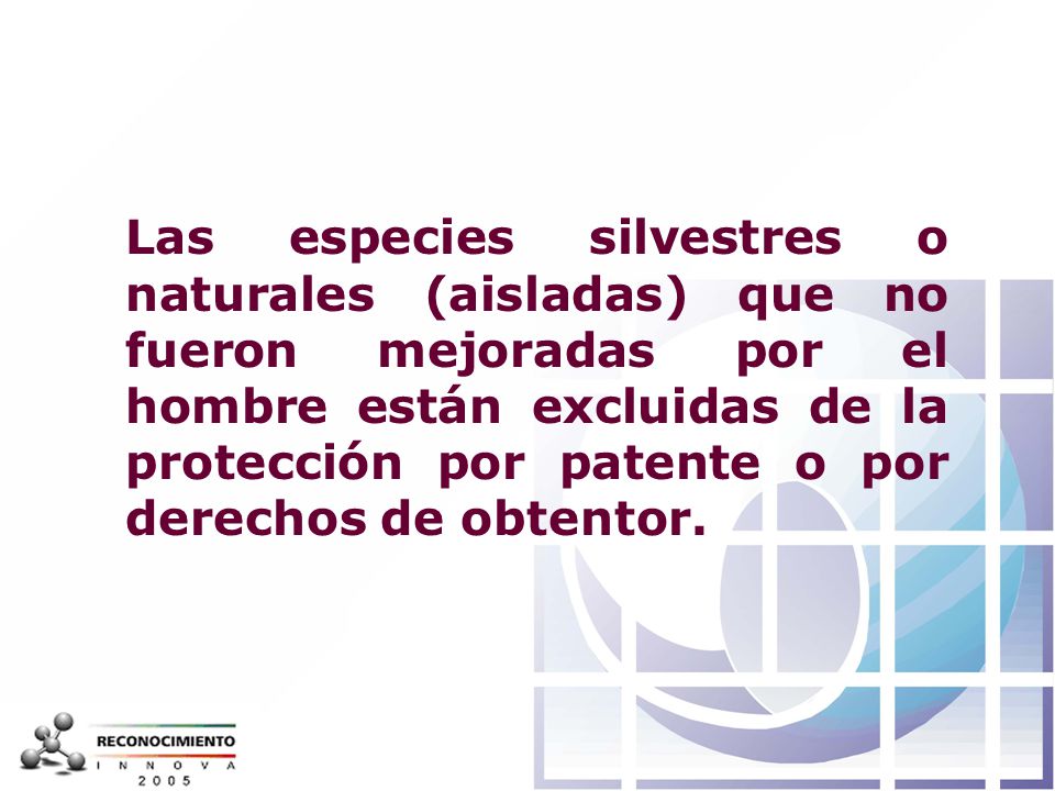 Las especies silvestres o naturales (aisladas) que no fueron mejoradas por el hombre están excluidas de la protección por patente o por derechos de obtentor.