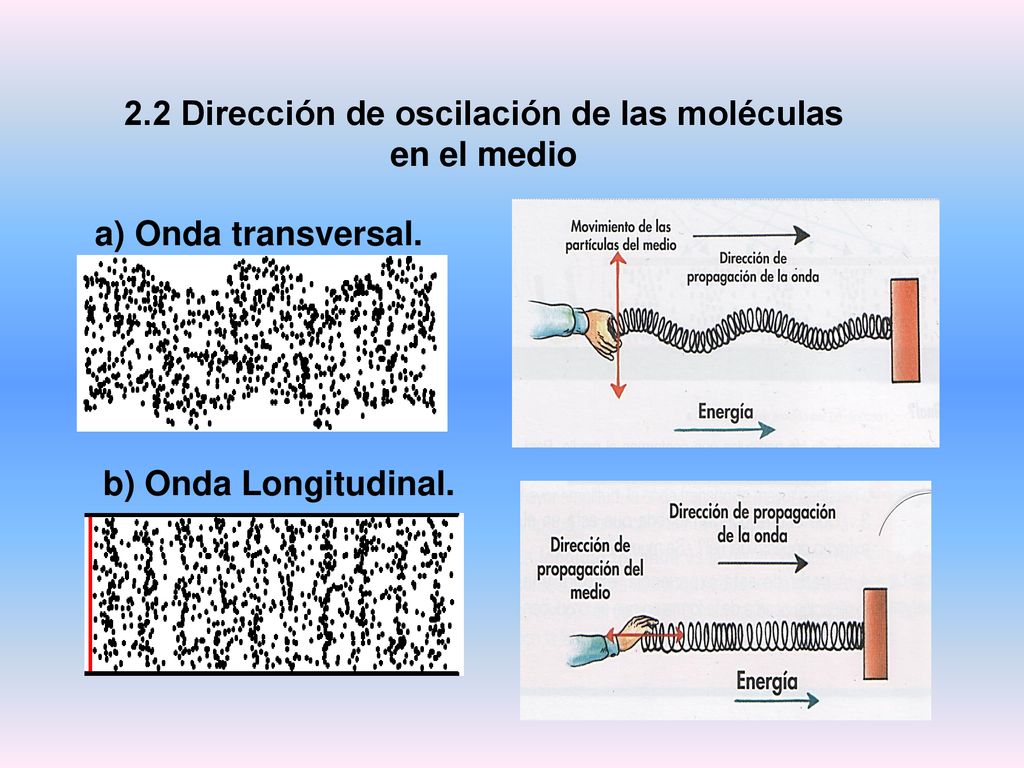 2.2 Dirección de oscilación de las moléculas en el medio