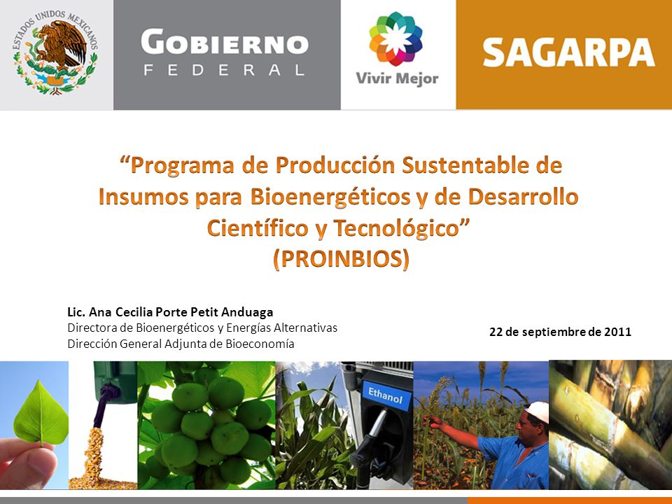 Contexto Hasta mediados del siglo XIX, las actividades agropecuarias y pesqueras primarias fueron la base económica y social.