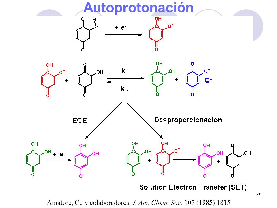 Autoprotonación Amatore, C., y colaboradores. J. Am. Chem. Soc. 107 (1985) 1815