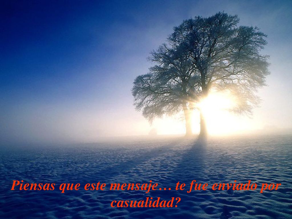 Piensas que este mensaje… te fue enviado por casualidad