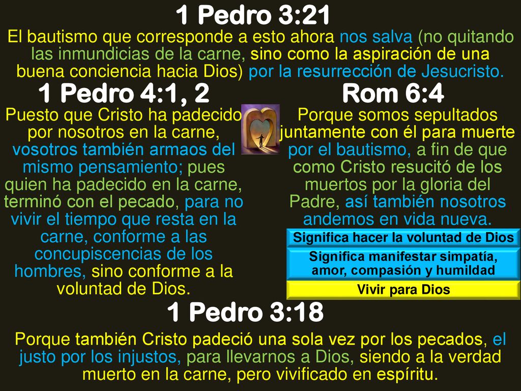 1 Pedro 3:21 1 Pedro 4:1, 2 Rom 6:4 1 Pedro 3:18