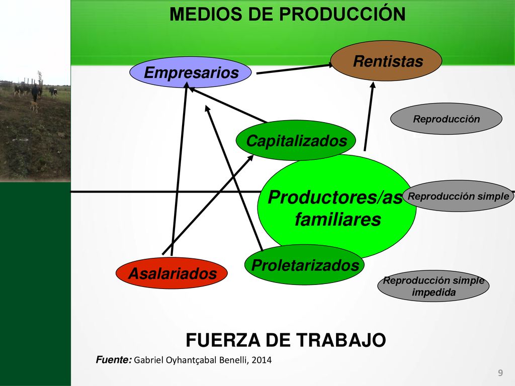 MEDIOS DE PRODUCCIÓN Productores/as familiares FUERZA DE TRABAJO