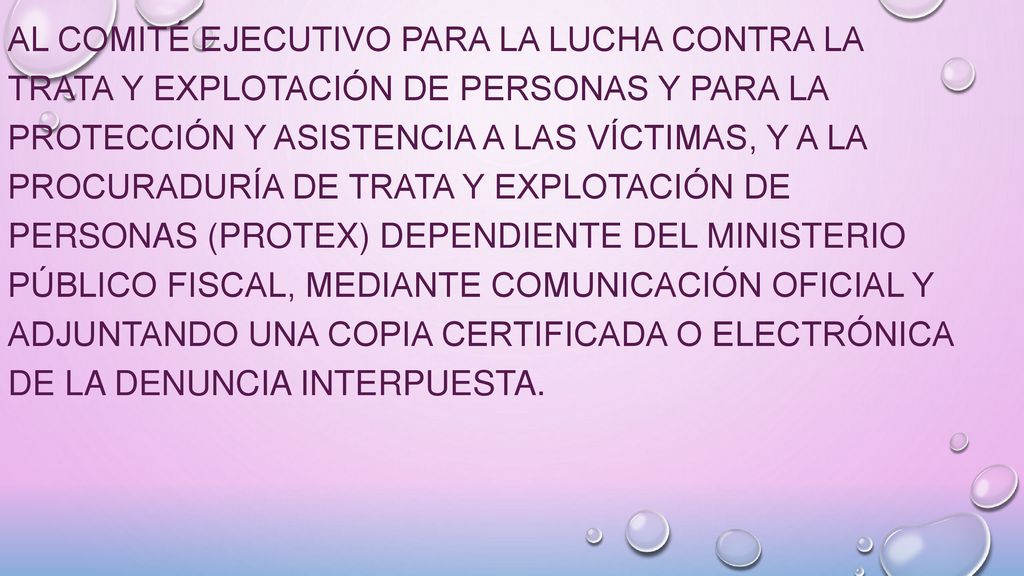 al Comité Ejecutivo para la Lucha contra la Trata y Explotación de Personas y para la Protección y Asistencia a las Víctimas, y a la Procuraduría de Trata y Explotación de Personas (PROTEX) dependiente del Ministerio Público Fiscal, mediante comunicación oficial y adjuntando una copia certificada o electrónica de la denuncia interpuesta.