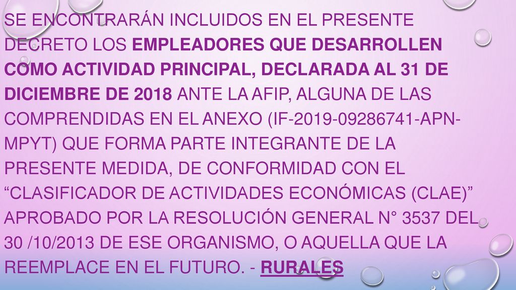 Se encontrarán incluidos en el presente decreto los empleadores que desarrollen como actividad principal, declarada al 31 de diciembre de 2018 ante la AFIP, alguna de las comprendidas en el ANEXO (IF APN- MPYT) que forma parte integrante de la presente medida, de conformidad con el Clasificador de Actividades Económicas (CLAE) aprobado por la Resolución General N° 3537 del 30 /10/2013 de ese organismo, o aquella que la reemplace en el futuro.