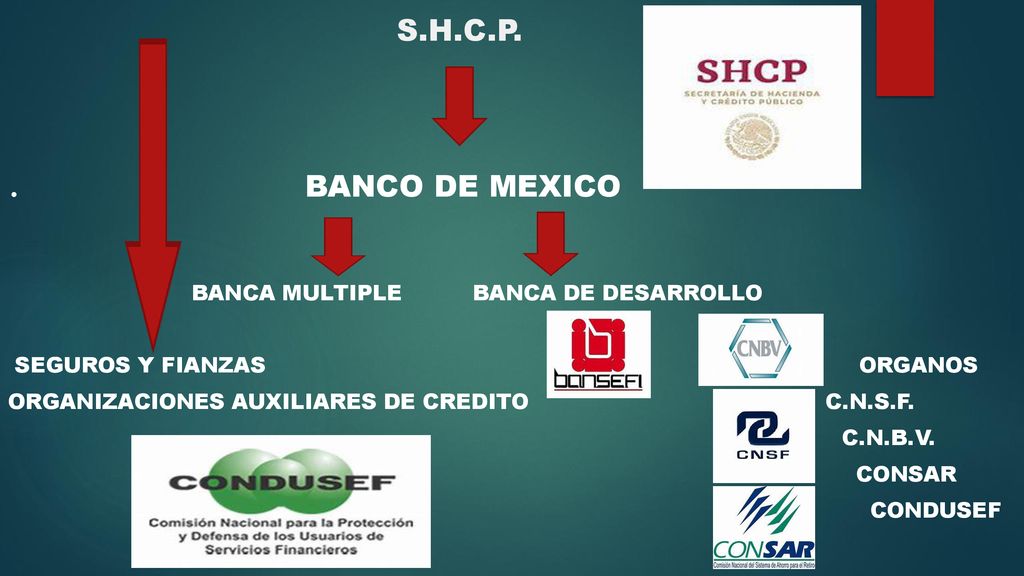 . BANCO DE MEXICO S.H.C.P. BANCA MULTIPLE BANCA DE DESARROLLO