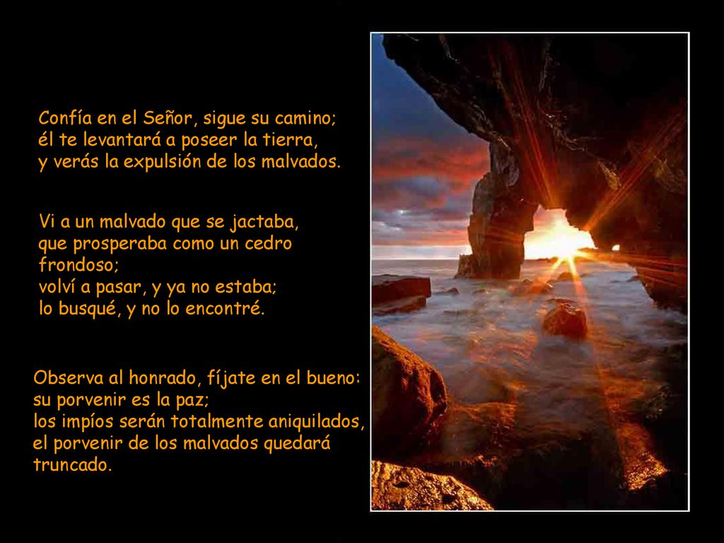 Confía en el Señor, sigue su camino; él te levantará a poseer la tierra, y verás la expulsión de los malvados.