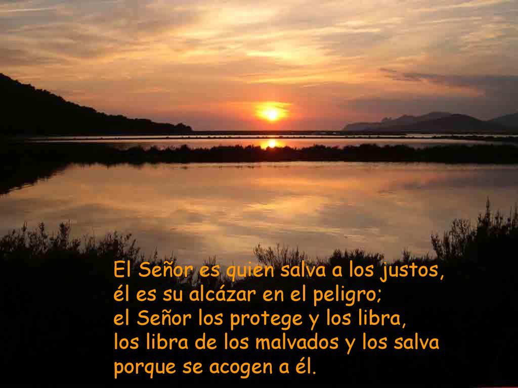 El Señor es quien salva a los justos, él es su alcázar en el peligro; el Señor los protege y los libra, los libra de los malvados y los salva porque se acogen a él.