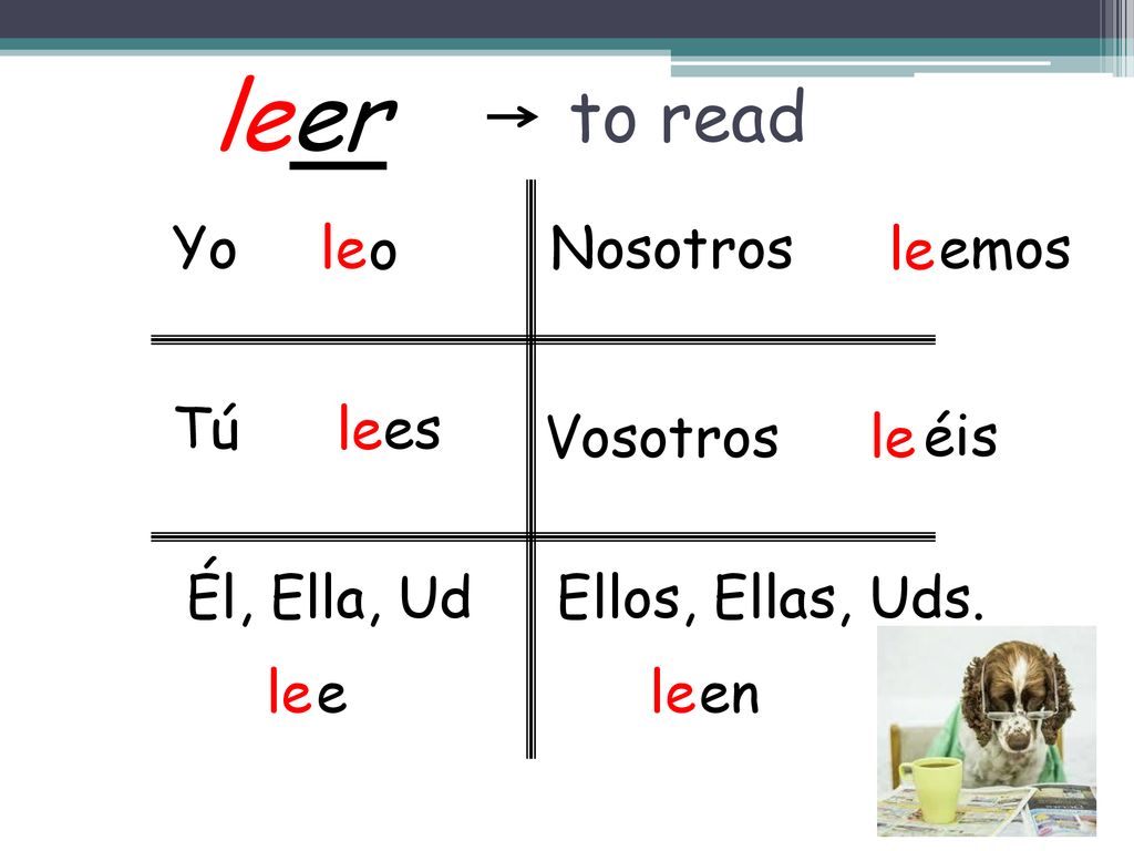 leer to read Yo le o Nosotros le emos Tú le es Vosotros le éis