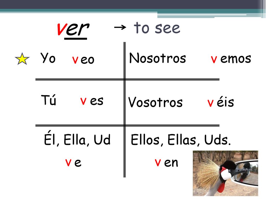 ver to see Yo v eo Nosotros v emos Tú v es Vosotros v éis Él, Ella, Ud