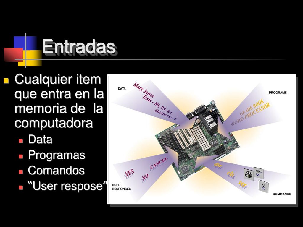 Entradas Cualquier item que entra en la memoria de la computadora Data