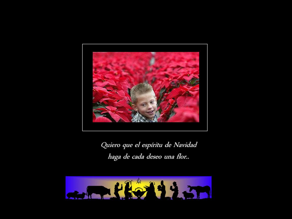 Quiero que el espíritu de Navidad haga de cada deseo una flor..
