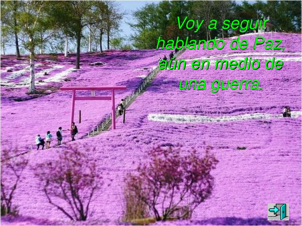 Voy a seguir hablando de Paz, aún en medio de una guerra.