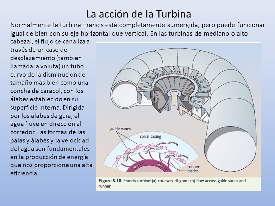 La acción de la Turbina Normalmente la turbina Francis está completamente sumergida, pero puede funcionar.