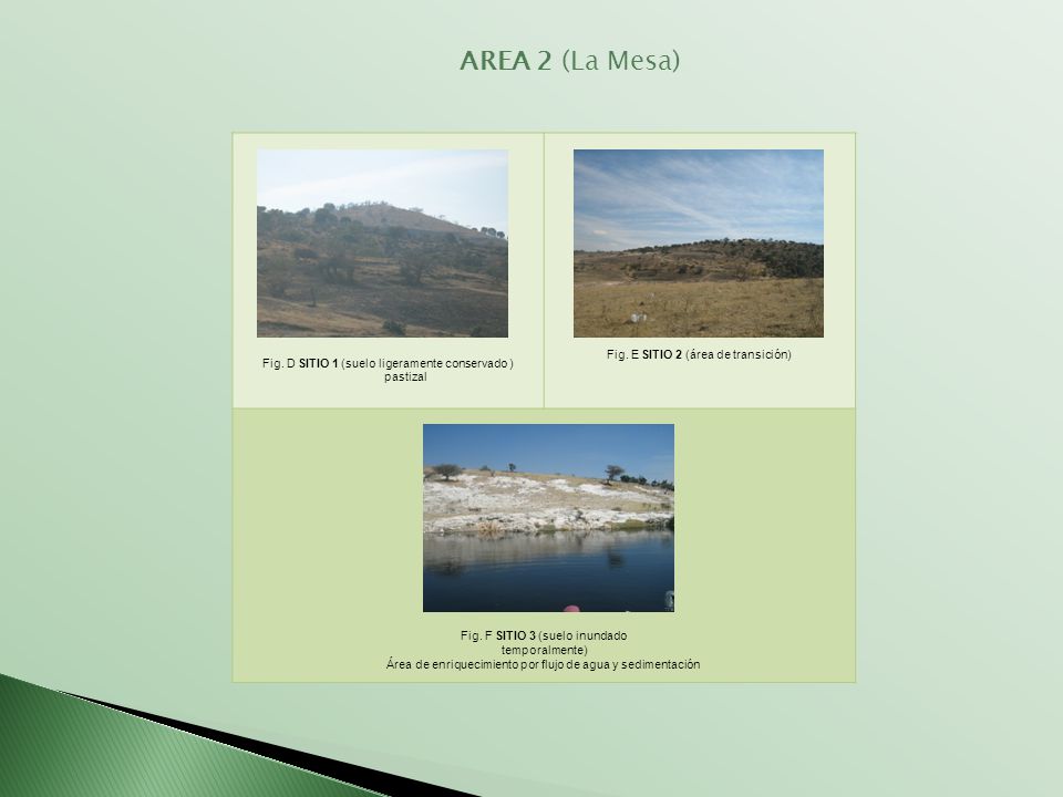 AREA 2 (La Mesa) Fig. E SITIO 2 (área de transición)