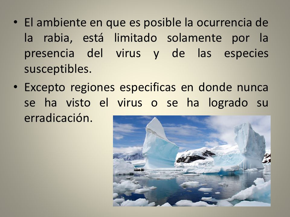 El ambiente en que es posible la ocurrencia de la rabia, está limitado solamente por la presencia del virus y de las especies susceptibles.