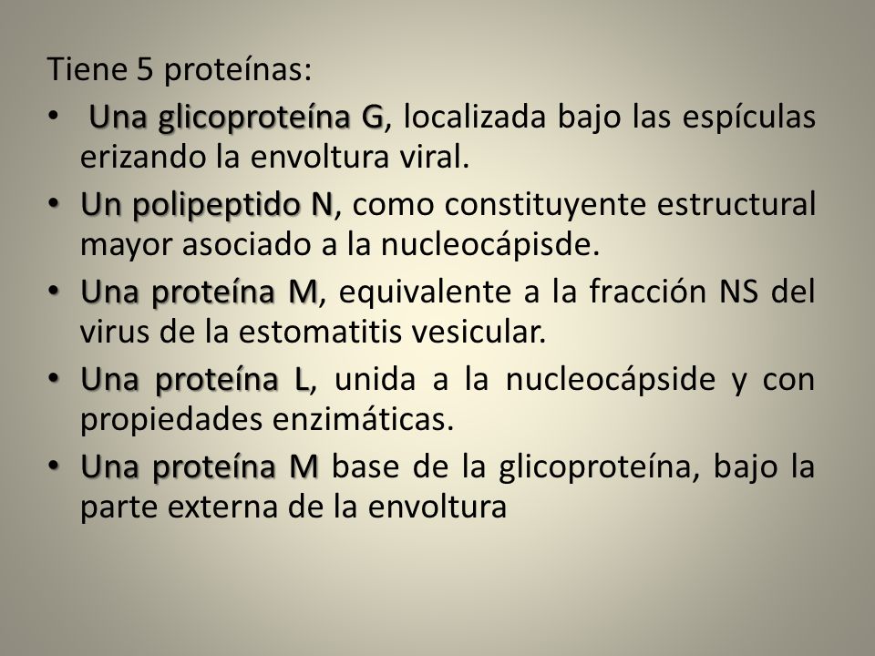 Tiene 5 proteínas: Una glicoproteína G, localizada bajo las espículas erizando la envoltura viral.