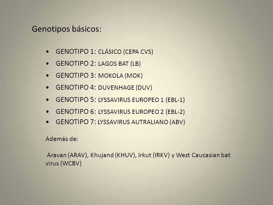 Genotipos básicos: GENOTIPO 1: CLÁSICO (CEPA CVS)