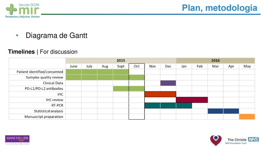 Plan, metodología Diagrama de Gantt Timelines | For discussion