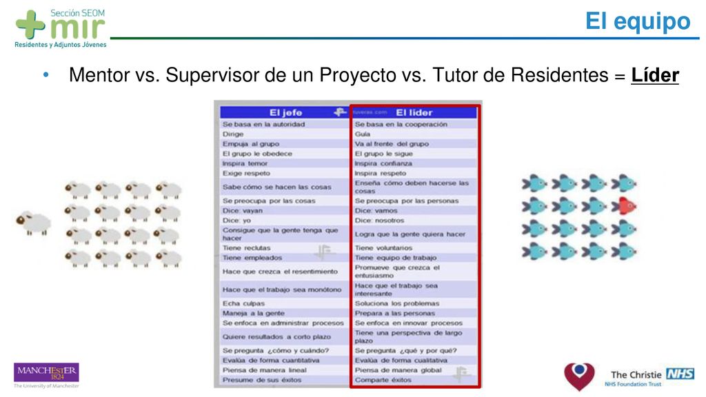 El equipo Mentor vs. Supervisor de un Proyecto vs. Tutor de Residentes = Líder