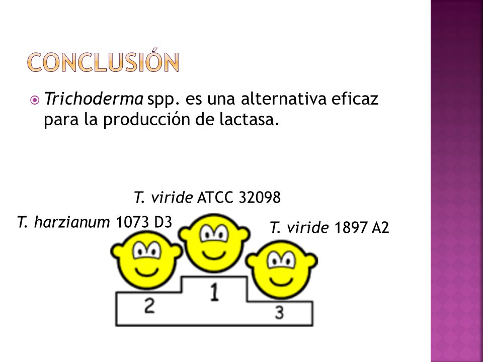 conclusión Trichoderma spp. es una alternativa eficaz para la producción de lactasa. T. viride ATCC