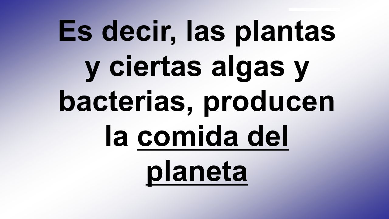 Es decir, las plantas y ciertas algas y bacterias, producen la comida del planeta