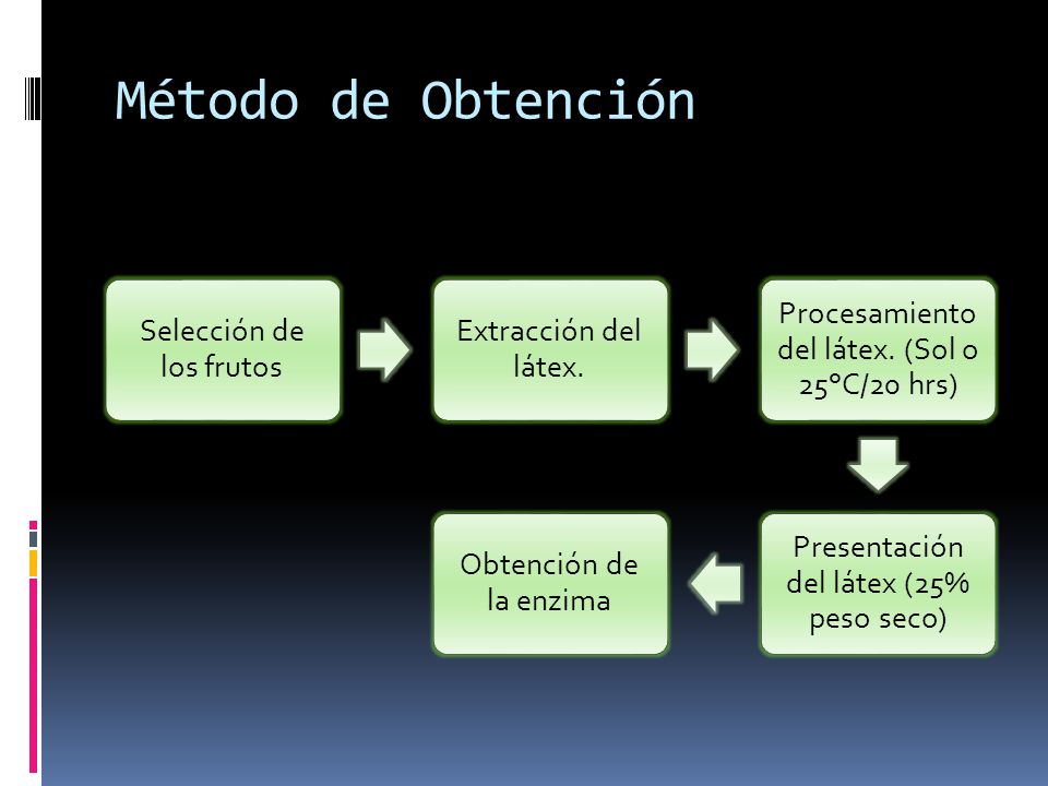 Método de Obtención Selección de los frutos Extracción del látex.