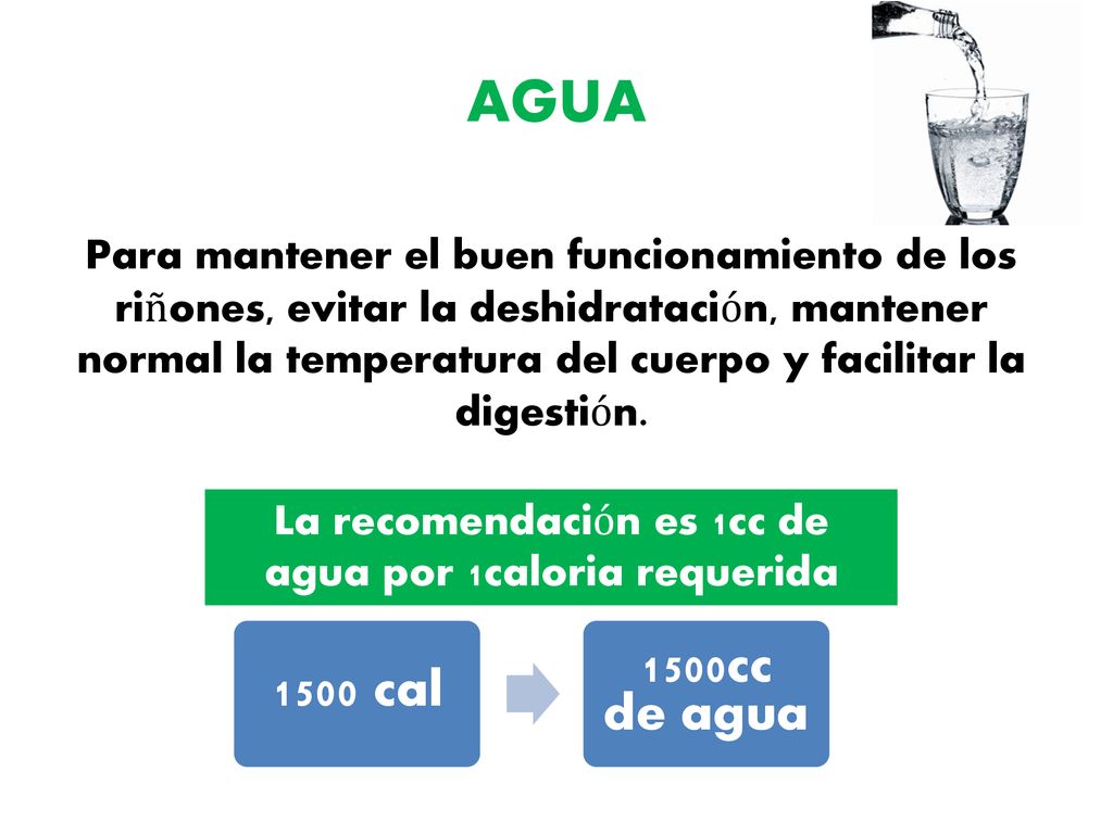 La recomendación es 1cc de agua por 1caloria requerida